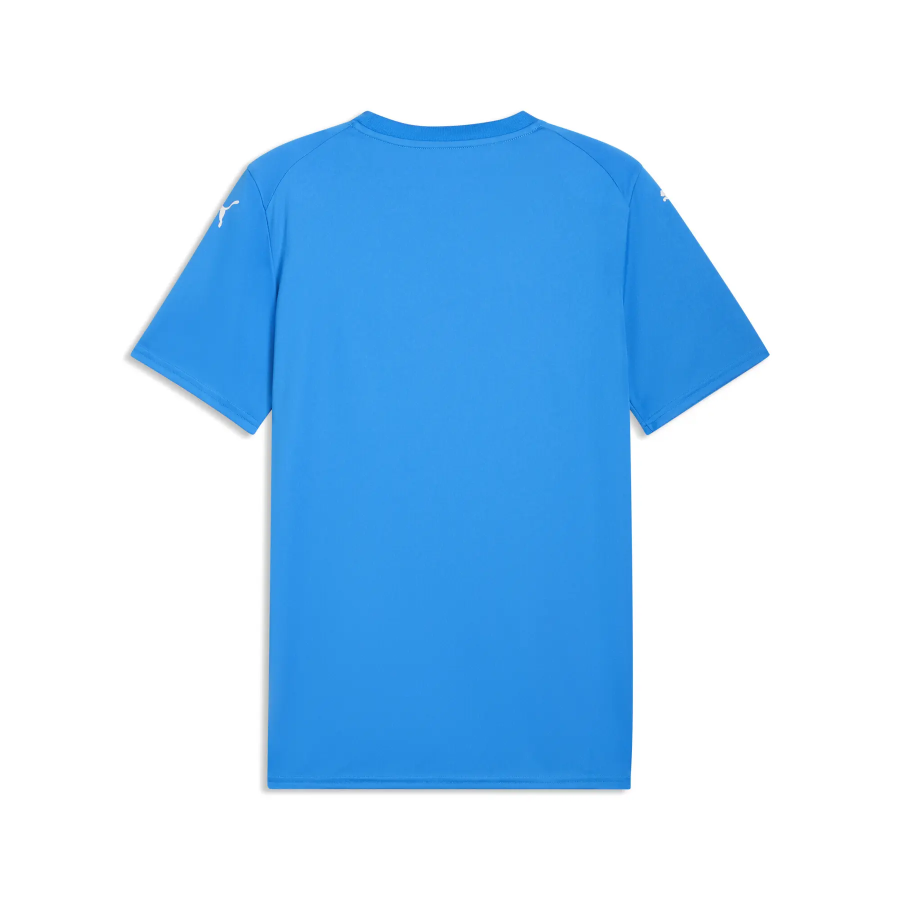 Maillot Puma Team Final Graphic