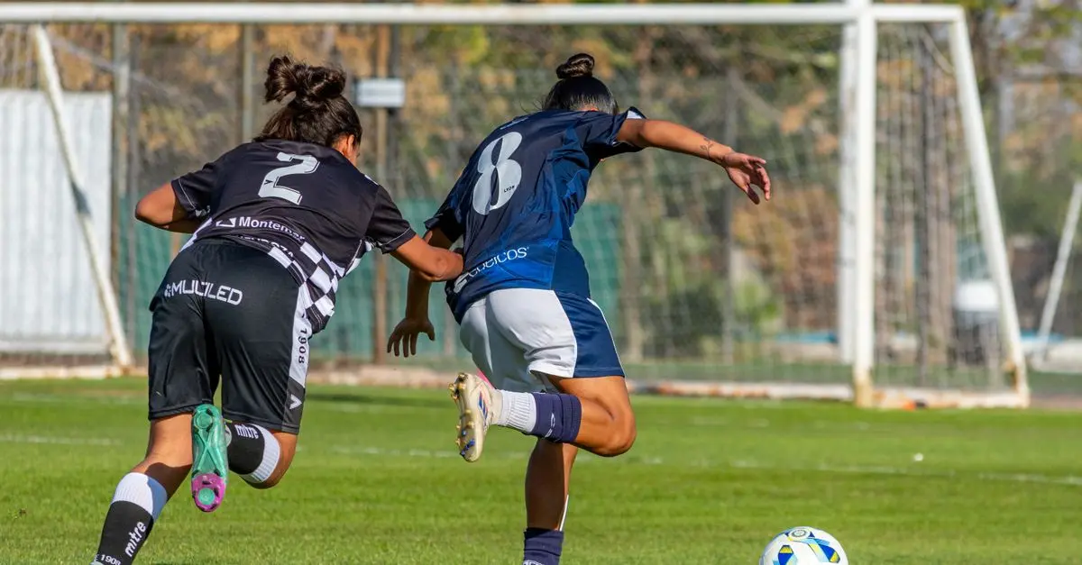 Les Meilleures Astuces pour Suivre un Match de Football en Direct
